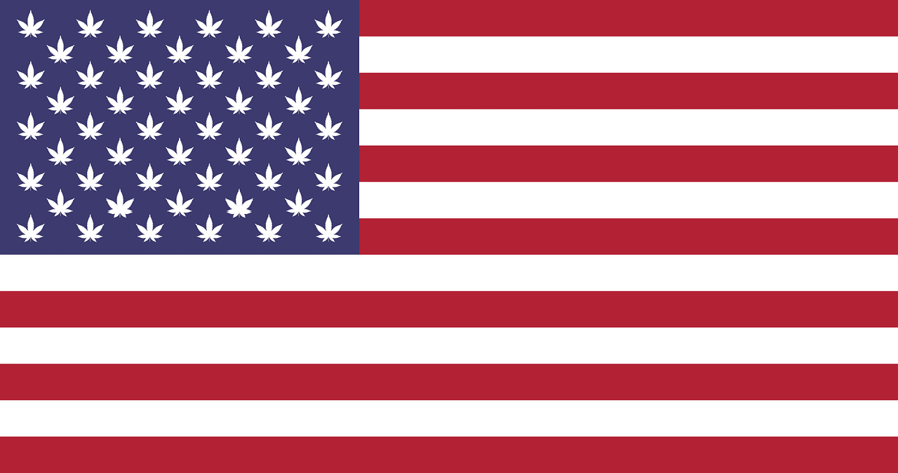 America Flag